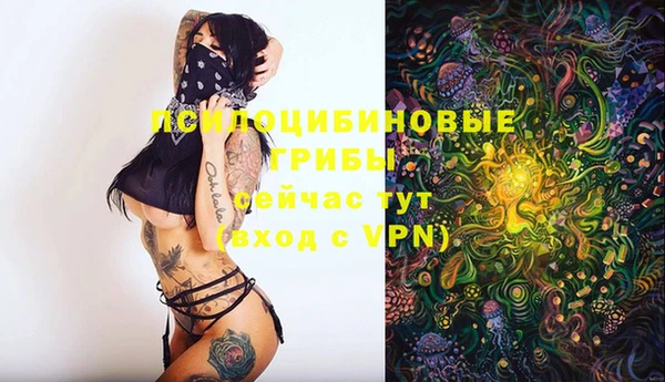 шишки Балабаново