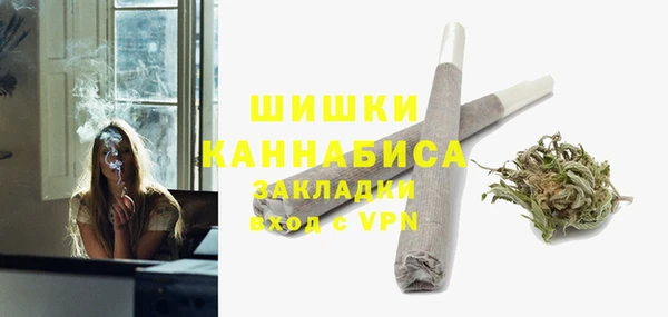 шишки Балабаново