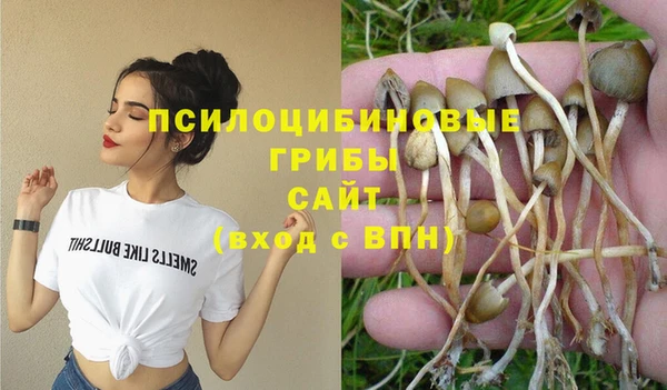 шишки Балабаново