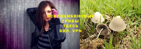 стафф Балахна