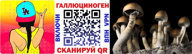 цены   Семикаракорск  Галлюциногенные грибы мухоморы 
